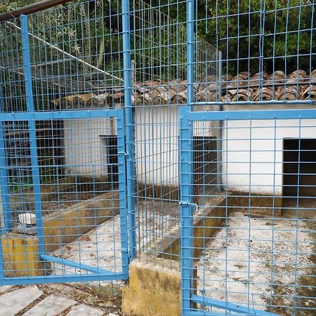 Horta De Pepinais Villa Елвас Екстериор снимка