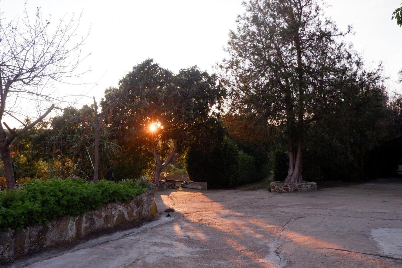 Horta De Pepinais Villa Елвас Екстериор снимка