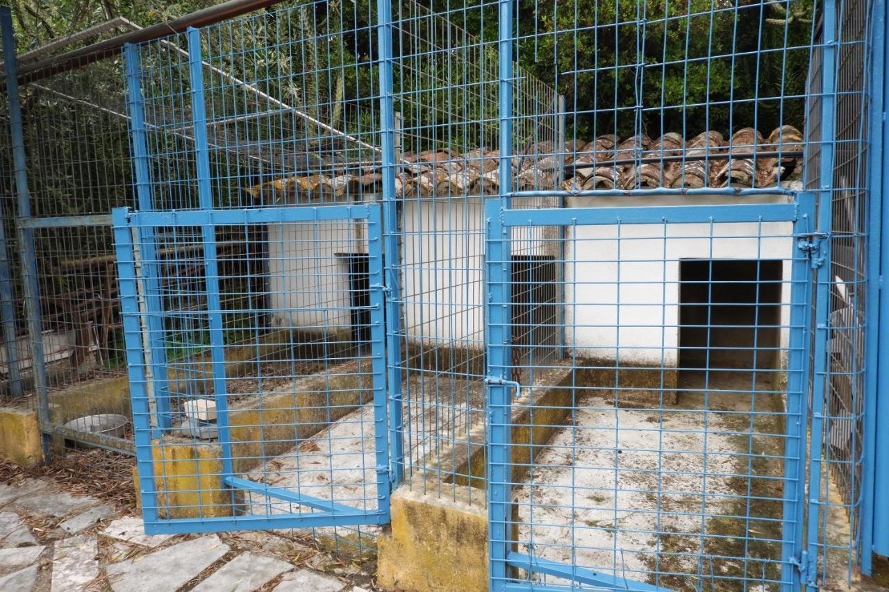 Horta De Pepinais Villa Елвас Екстериор снимка